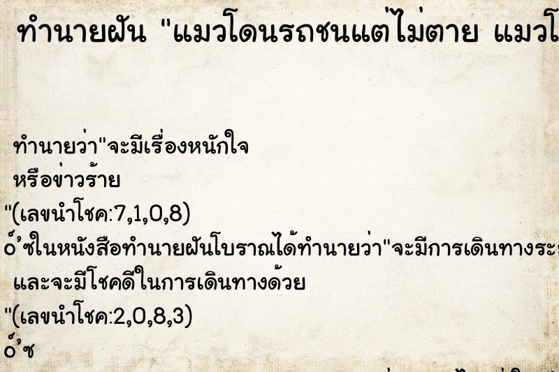 ทำนายฝัน แมวโดนรถชนแต่ไม่ตาย แมวโดนรถชนแต่ไม่ตาย ทำนายฝัน แมวโดนรถชนแต่ไม่ตาย แมวโดนรถชนแต่ไม่ตาย